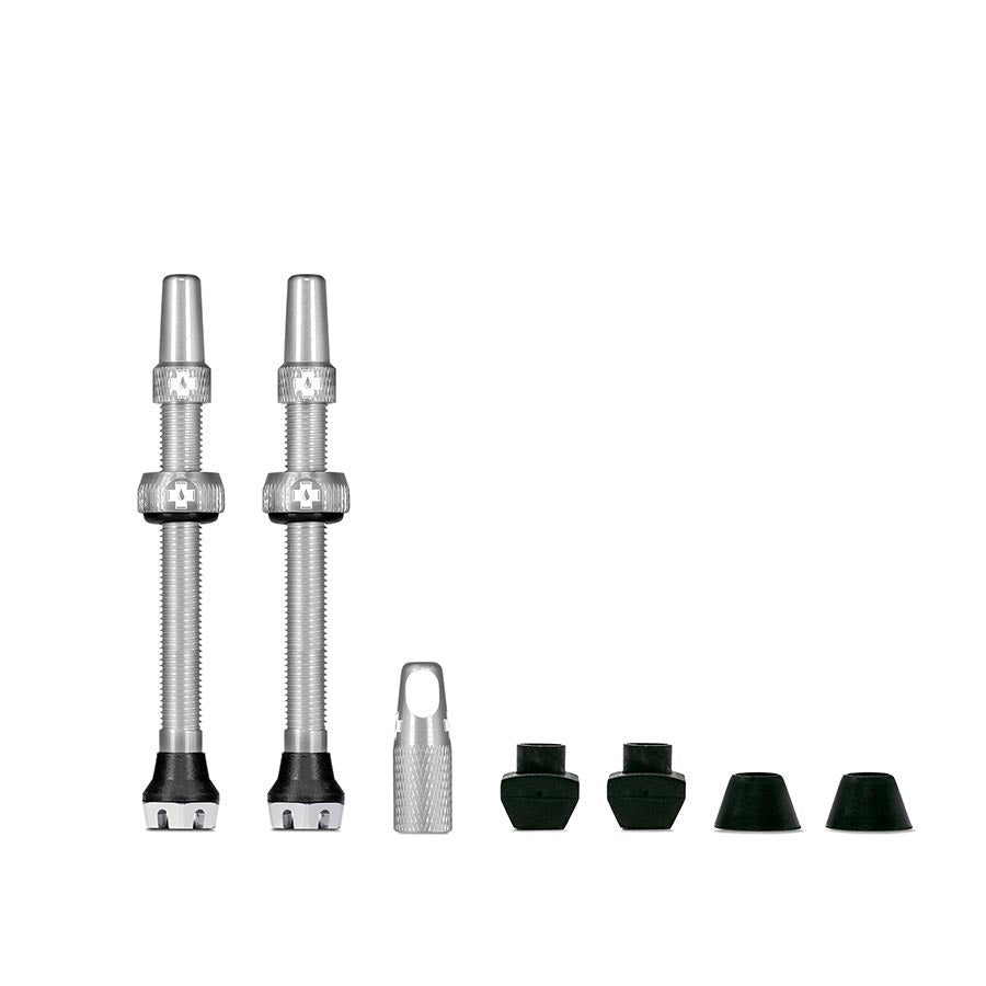 Pair of silver tubeless valve stems, 60mm, with caps and tool pieces