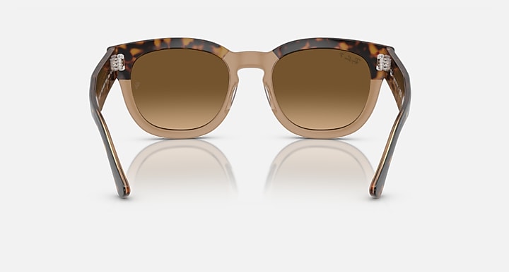 Havana tortoise sunglasses with brown lenses and gold-toned bridge, front view