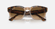 Havana tortoise sunglasses with brown lenses and logo on frame, angled view