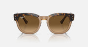 Havana tortoise sunglasses with brown gradient lenses, front view