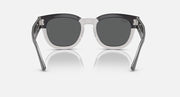 Sunglasses front view with dark round lenses, transparent dark-gray frame and metal hinges