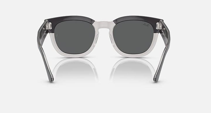 Sunglasses front view with dark round lenses, transparent dark-gray frame and metal hinges