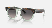Transparent green frame sunglasses with dark lenses and tortoise-pattern temples