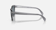 Sunglasses side profile with gray frame, dark lenses, and branded temple arm