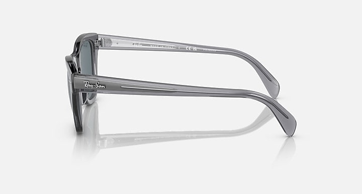 Sunglasses side profile with gray frame, dark lenses, and branded temple arm