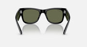 Black Wayfarer sunglasses with dark olive lenses, angled front view