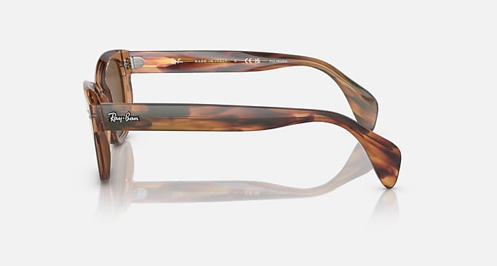 Ray-Ban polarized sunglasses with tortoise temple and brown lenses, side view