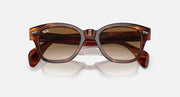 Ray-Ban RB0880S sunglasses with havana-style frames and brown lenses, angled front view.
