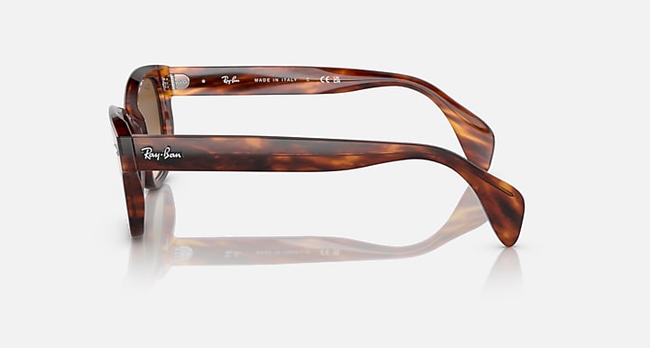 Ray-Ban RB0880S sunglasses, havana-style frames with brown lenses, side profile view.