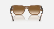 Ray-Ban Carlos Low sunglasses front view, tan frame with brown lenses