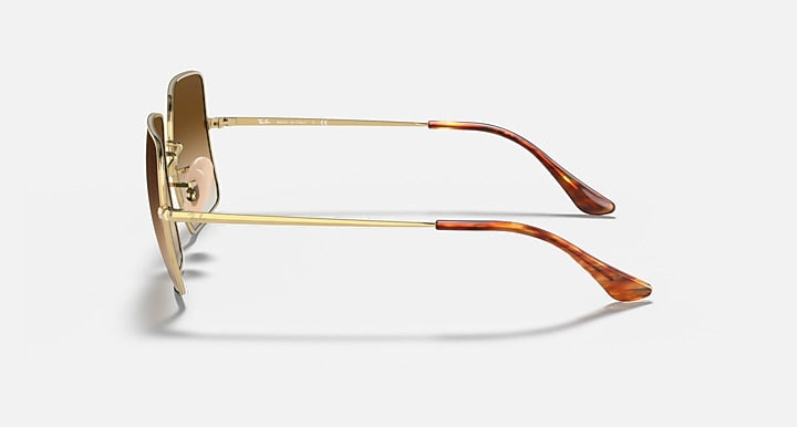 Ray-Ban RB1971 sunglasses side view with gold frame and tortoise-pattern temples