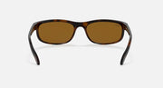 Ray-Ban Predator sunglasses, dark tortoiseshell frame with brown lenses, straight-on