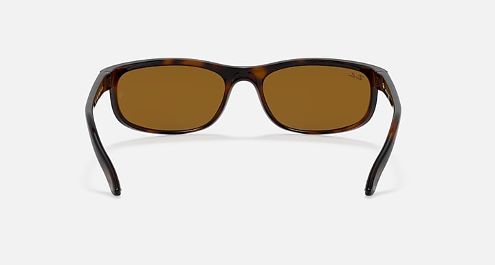 Ray-Ban Predator sunglasses, dark tortoiseshell frame with brown lenses, straight-on