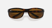 Ray-Ban Predator sunglasses, tortoiseshell frame with brown lenses, wide front view