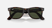 Ray-Ban Wayfarer sunglasses, tortoise frame with dark green lenses, logo on temple