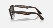 Ray-Ban Wayfarer sunglasses, tortoise frame, dark green lenses, side profile