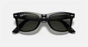 Wayfarer-style sunglasses with dark green lenses and black frame, front view with lens detail
