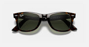 Ray-Ban wayfarer sunglasses, tortoise frame with green lenses, top view