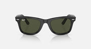 Wayfarer-style sunglasses with matte black frame and dark green lenses