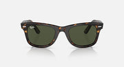 Ray-Ban Wayfarer sunglasses, tortoise frame with dark green lenses, front view