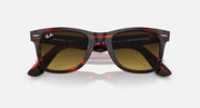 Ray-Ban Wayfarer sunglasses top view, dark amber lenses, red-brown patterned frame