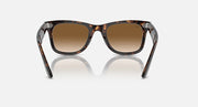Tortoise Wayfarer sunglasses with brown lenses, front view with dark temple tips
