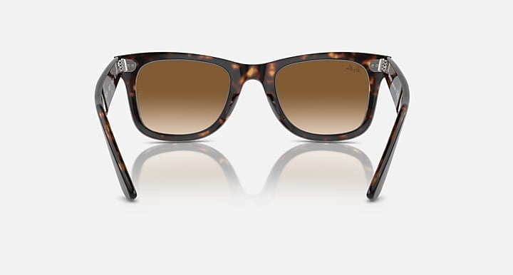 Tortoise Wayfarer sunglasses with brown lenses, front view with dark temple tips