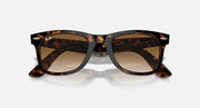Tortoise Wayfarer sunglasses with brown lenses, front view angled slightly to the side