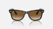 Tortoise Wayfarer sunglasses with brown lenses, centered front view, arms visible