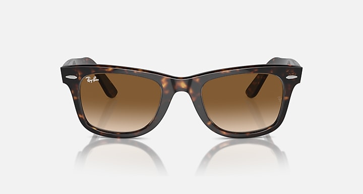 Tortoise Wayfarer sunglasses with brown lenses, centered front view, arms visible