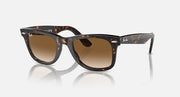 Tortoise Wayfarer sunglasses with brown lenses, front view with side profile