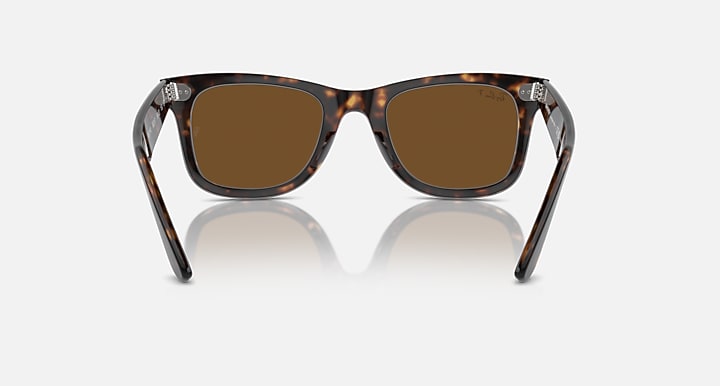 Tortoise Wayfarer sunglasses with brown lenses, front view