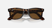 Tortoise Wayfarer sunglasses with brown lenses, close front view