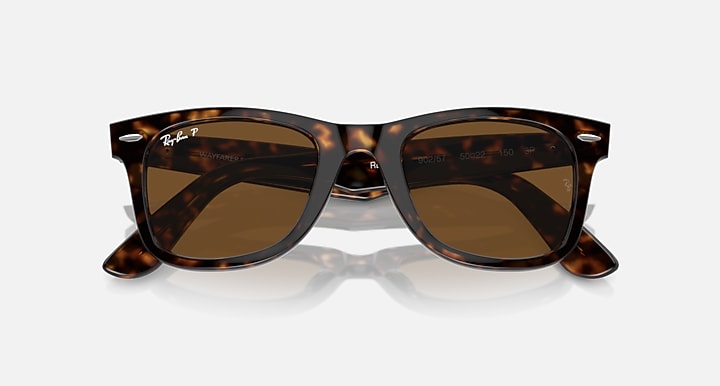 Tortoise Wayfarer sunglasses with brown lenses, close front view