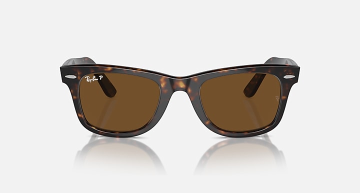 Tortoise Wayfarer sunglasses with brown lenses, front angled