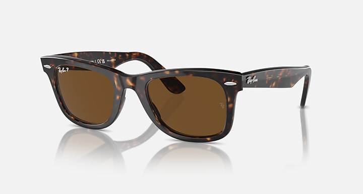 Tortoise Wayfarer sunglasses with brown lenses, front view
