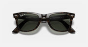 Tortoise Wayfarer sunglasses with dark green lenses and subtle lens reflections