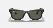 Wayfarer-style sunglasses with tortoise frame and dark green lenses, front view