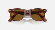 Tortoise Wayfarer sunglasses with brown lenses, front view with slight top angle