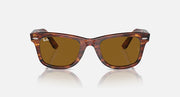 Tortoise Wayfarer sunglasses with brown lenses, side-front angled view
