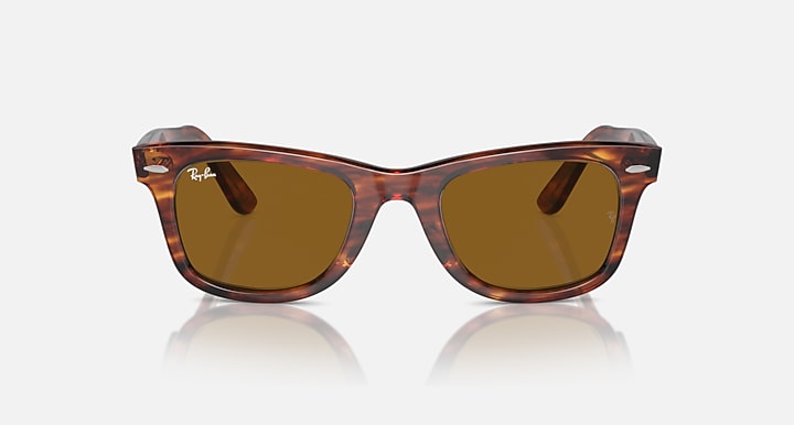 Tortoise Wayfarer sunglasses with brown lenses, side-front angled view