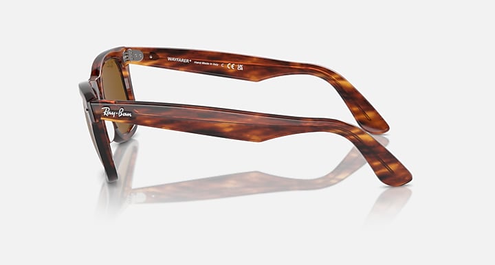 Tortoise Wayfarer sunglasses with brown lenses, right side view showing temples