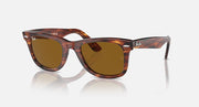 Tortoise Wayfarer sunglasses with brown lenses, front view with arms extended
