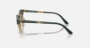 Folding sunglasses side view with dark green temples, gold hinges, brown-tinted lens
