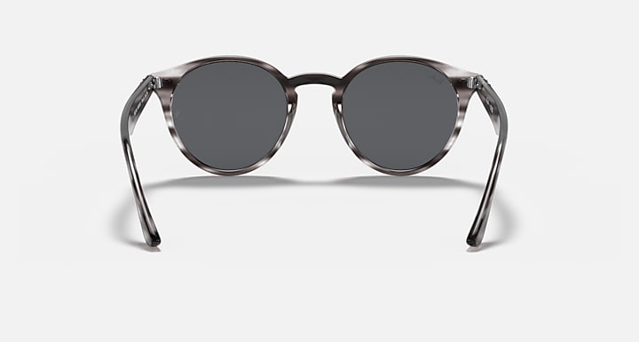Ray-Ban round dark tortoiseshell sunglasses with dark gray lenses and curved bridge