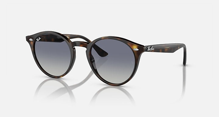 Ray-Ban round sunglasses with Havana-style frame and dark gradient lenses