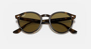 Ray-Ban round sunglasses with dark olive lenses and tortoiseshell frame, front view