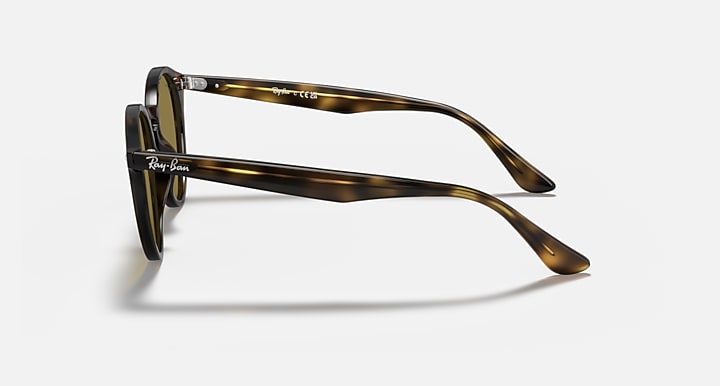 Ray-Ban round sunglasses side profile with tortoiseshell temples and dark lenses