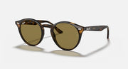 Ray-Ban round sunglasses with tortoiseshell frame and olive-brown lenses