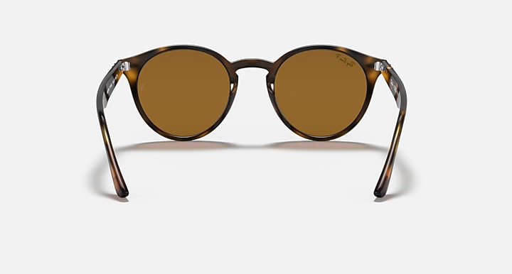 Ray-Ban round sunglasses front view with tortoiseshell frame and brown-olive lenses